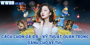 Cách chọn gà đá - Kỹ thuật quan trọng dành cho kê thủ