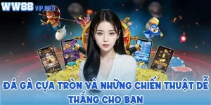 Đá gà cựa tròn và những chiến thuật dễ thắng cho bạn