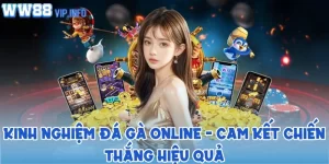 Kinh nghiệm đá gà online - Cam kết chiến thắng hiệu quả