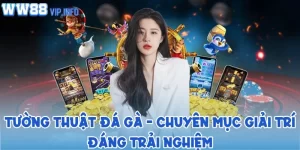 Tường thuật đá gà - Chuyên mục giải trí đáng trải nghiệm